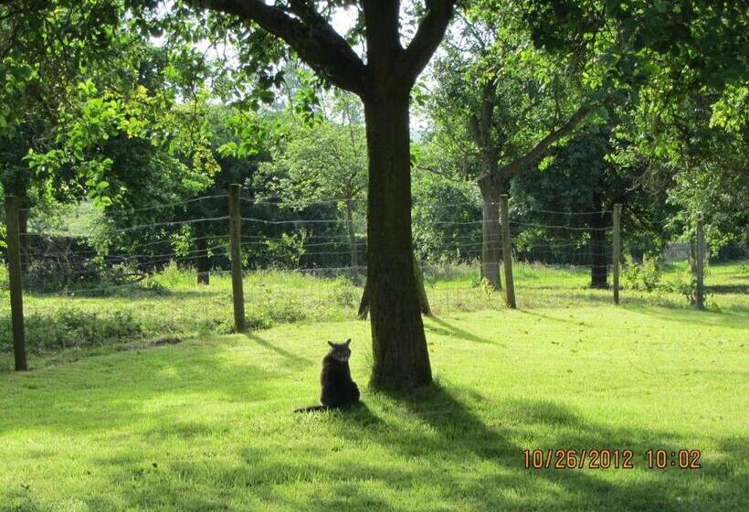 ベッドアンドブレックファースト Le Moulin De L`epinay