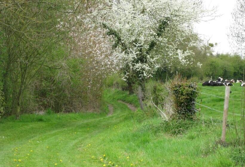 ベッドアンドブレックファースト Le Moulin De L`epinay