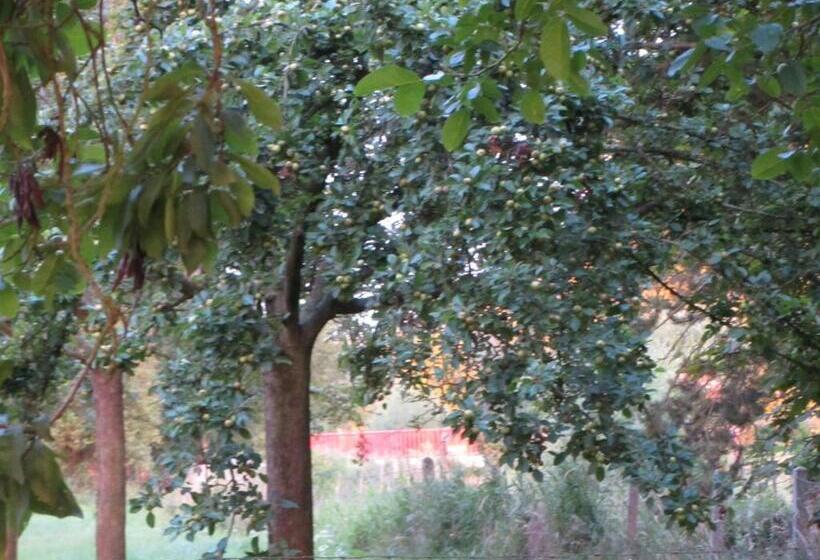 ベッドアンドブレックファースト Le Moulin De L`epinay