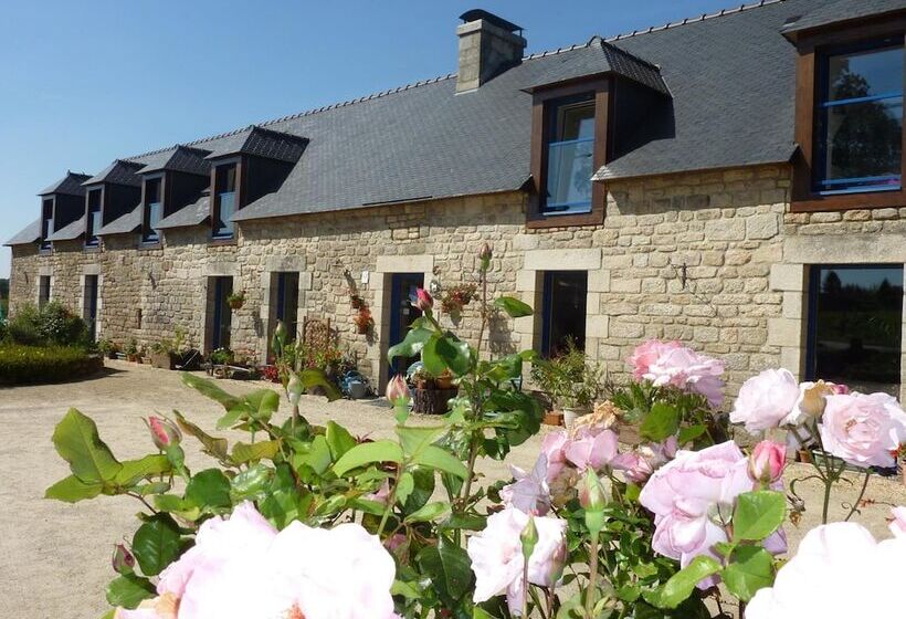 住宿加早餐  Ti Er Mad