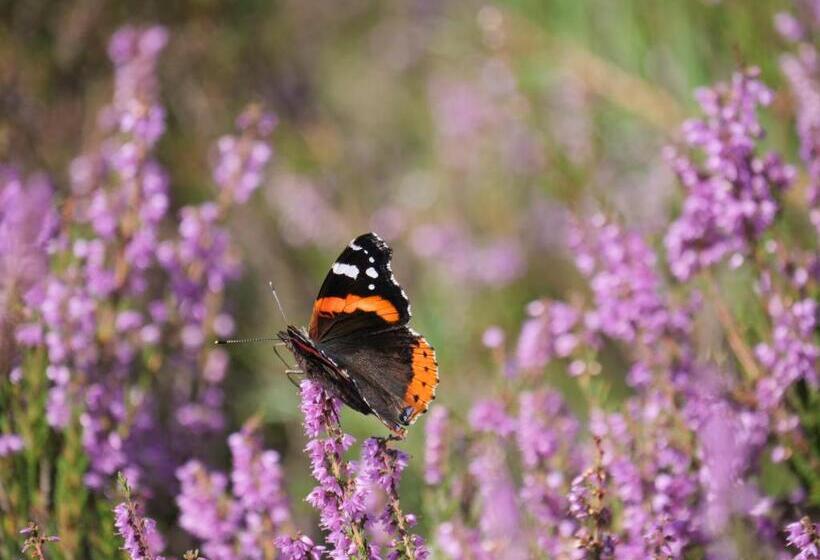 ベッドアンドブレックファースト La Vita Veluwe