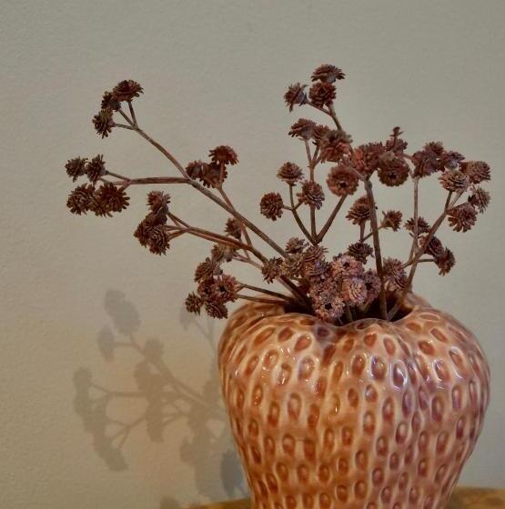 ベッドアンドブレックファースト La Vita Veluwe