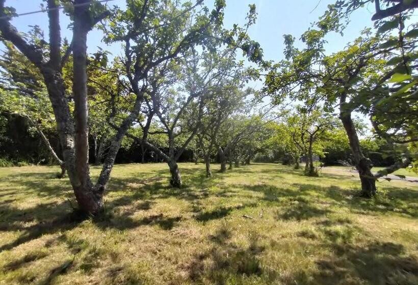 مبيت وإفطار Le Bercail