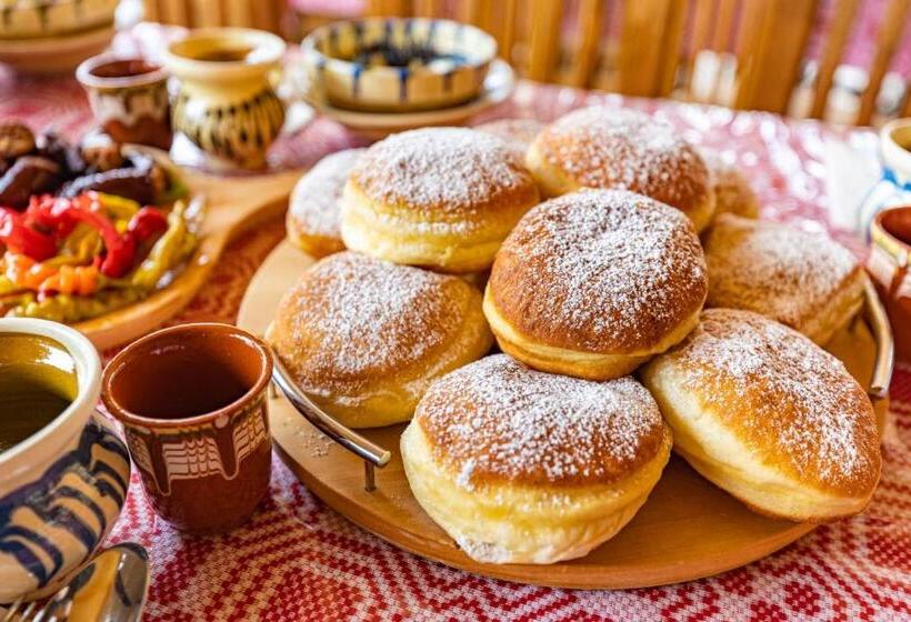 پانسیون Rustic Maramureș