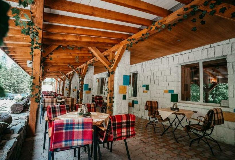 تختخواب و صبحانه Bâlea Cascadă