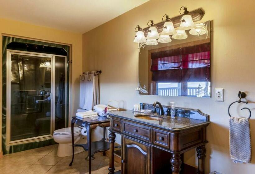 Bed and Breakfast The View Suite On Lookout Mountain