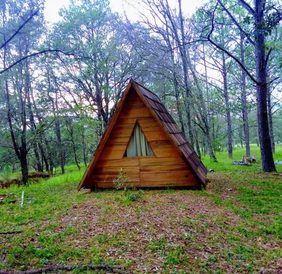 Отель Campamento Plan De Los álamos