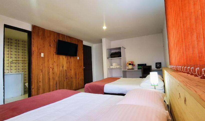 پانسیون El Gran Chaparral