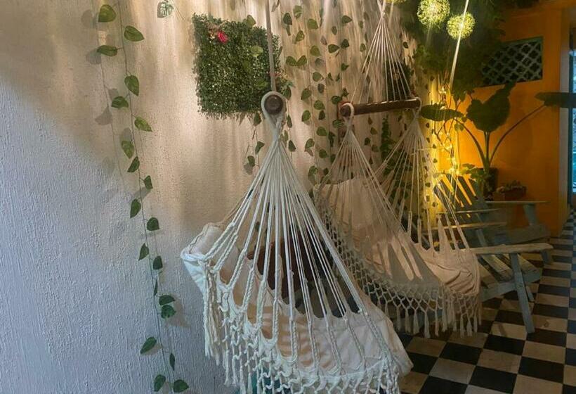 Pensionat Room In Lodge   Cr 2 Room In Getsemani With Breakfast Wifi And Air Conditioning