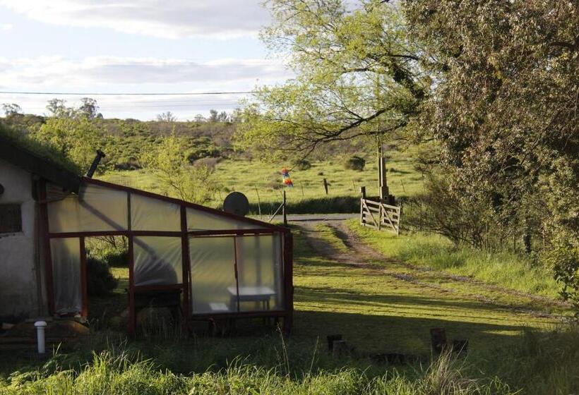 هاستل Alojamiento Ecológico Kurache