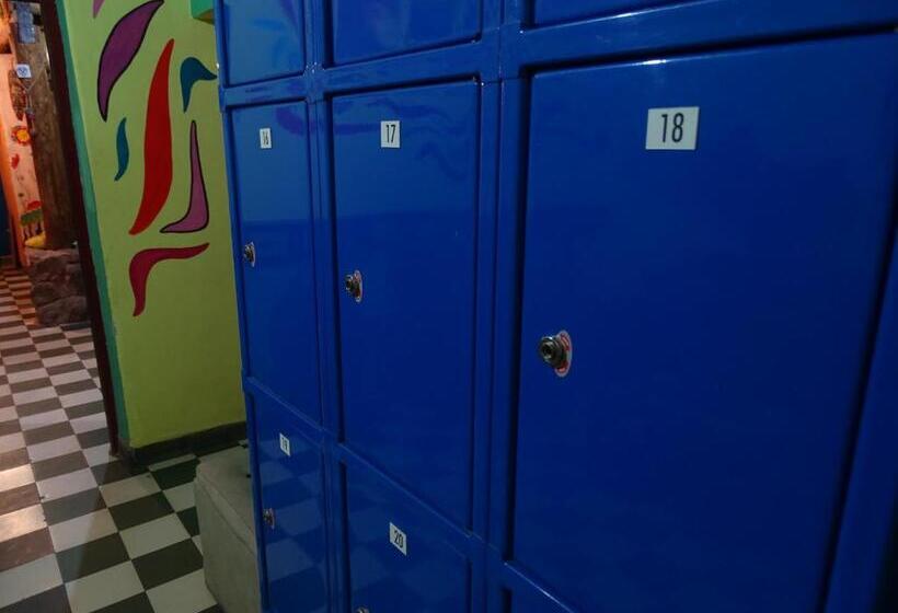 تختخواب و صبحانه Apapacho Hostel