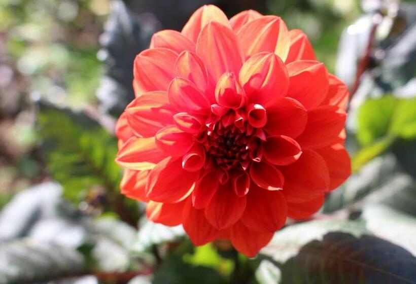 ベッドアンドブレックファースト Dans Le Jardin De Marie