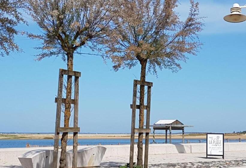 فندق Dormir Sur La Plage