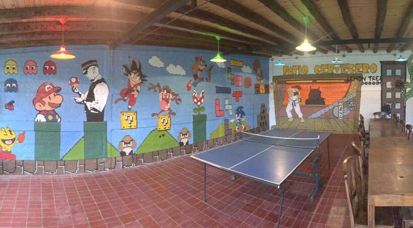 Lemon Tree Hostel