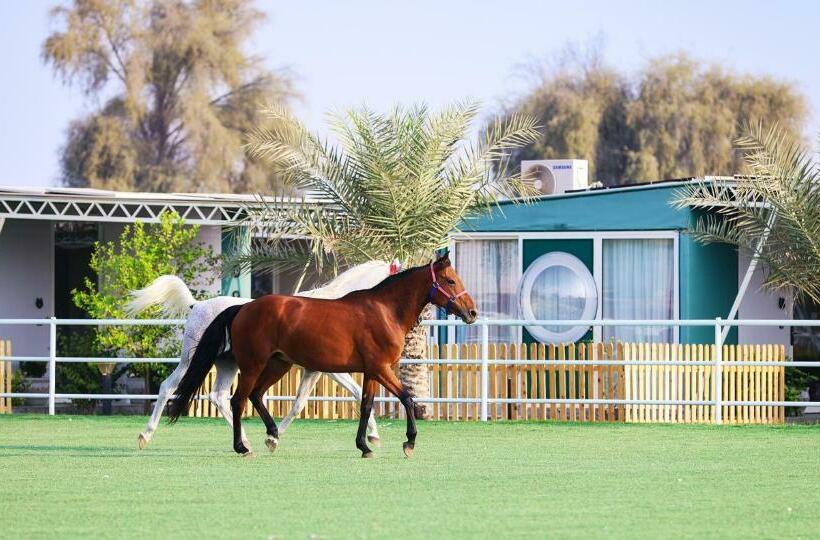 هتل Anavrin Equestrian Retreat