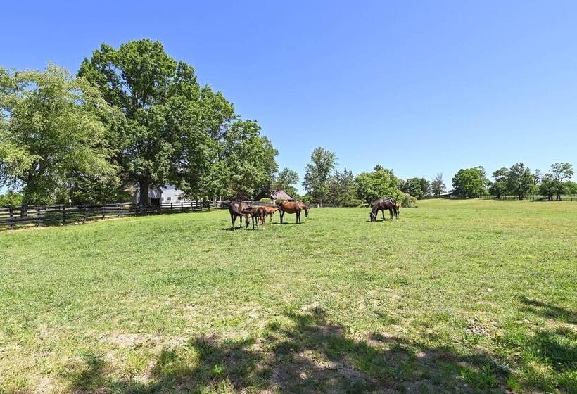 Cozy Georgetown Cottage On A Working Horse Farm!