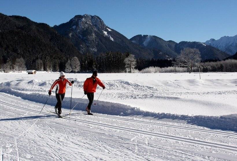 ベッドアンドブレックファースト Mammhofer Suite & Breakfast