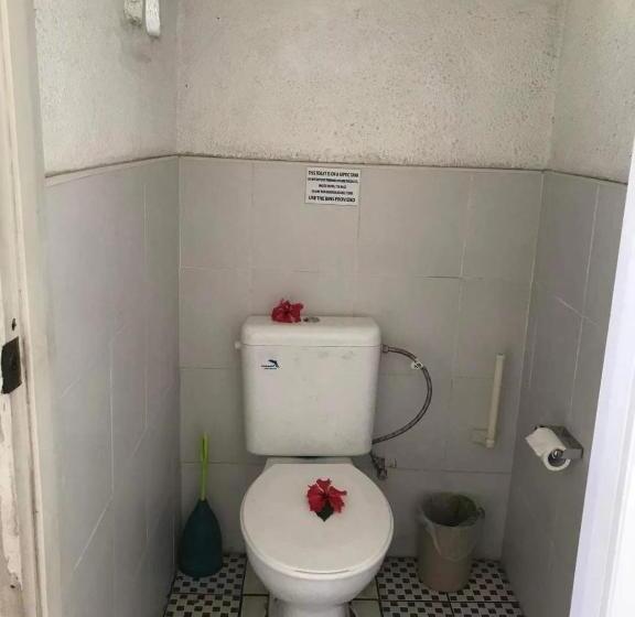 تختخواب و صبحانه Room With A View & Apartment Style