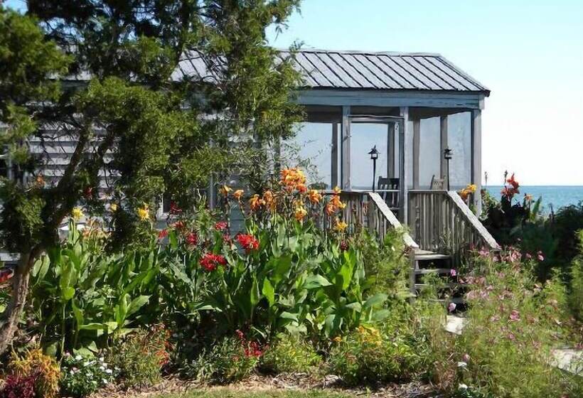 ホテル Black Walnut Point Inn