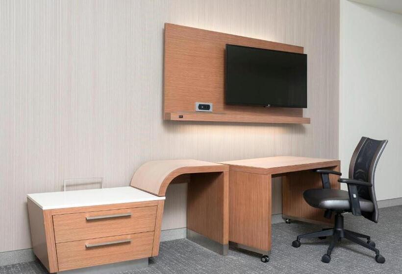 酒店 Courtyard By Marriott Mt. Pleasant At Central Michigan University