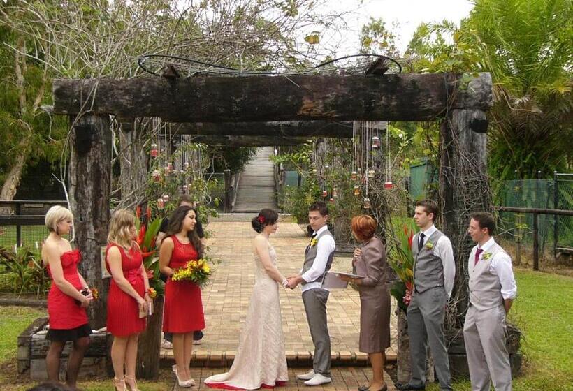 酒店 Daintree Wild Bed & Breakfast