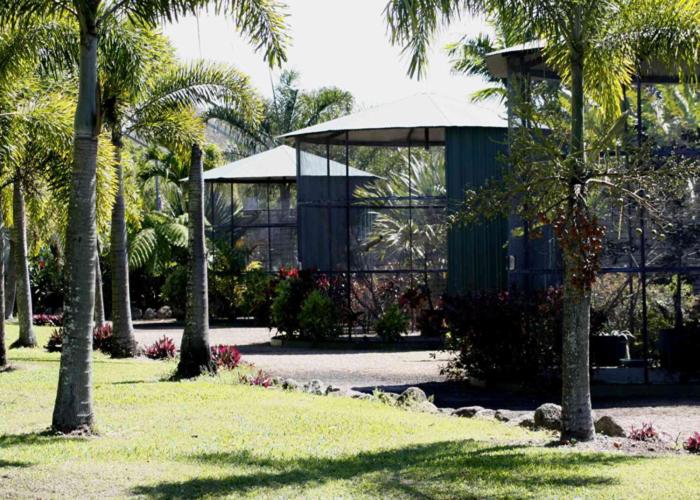 호텔 Daintree Wild Bed & Breakfast