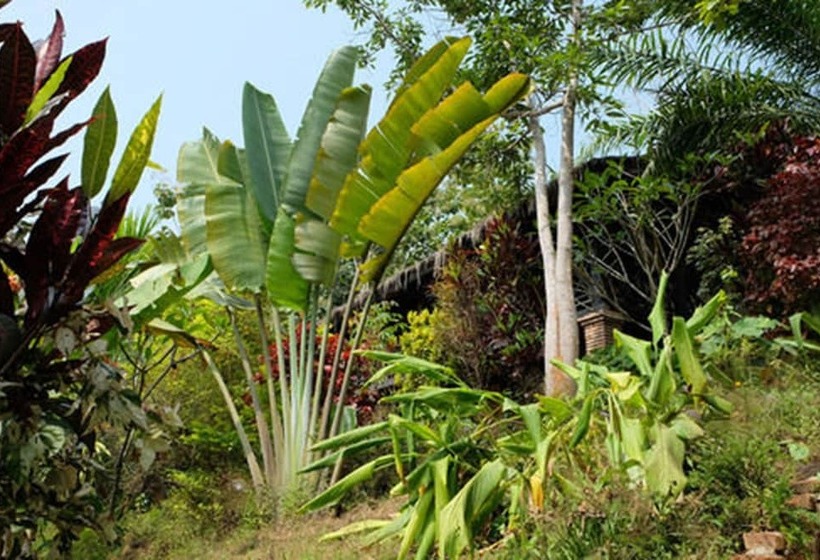 هتل Hillside  Nature Lifestyle Lodge