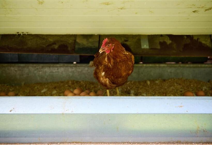 Отель Schloss Und Gut Liebenberg