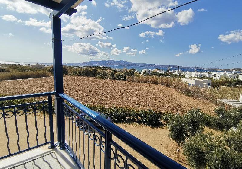 Отель Naxian Serenity Suites