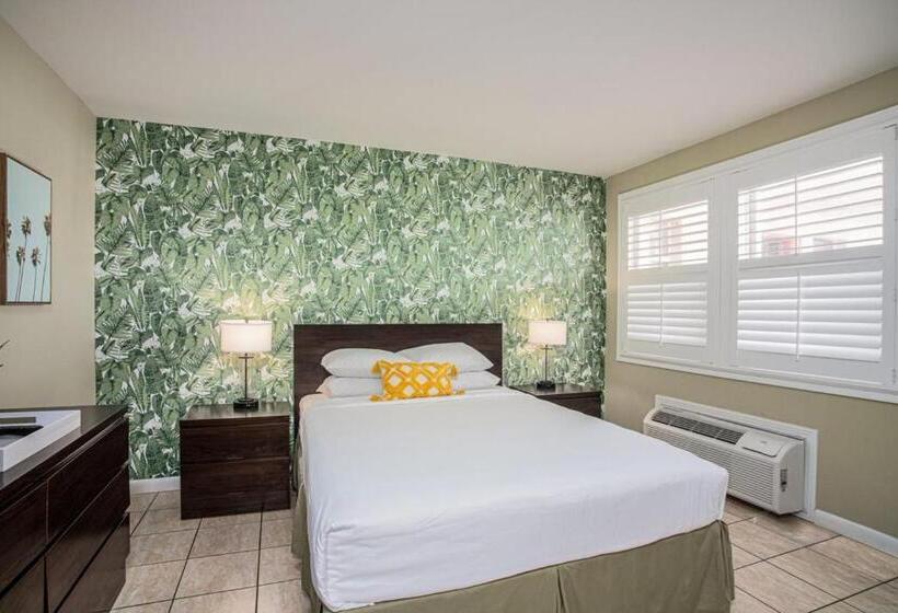 Мотель The Local   St. Augustine