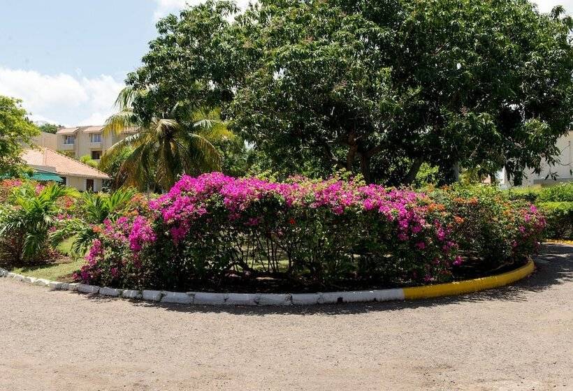 هتل Sea Shell Beach Studio At Montego Bay Club Resort
