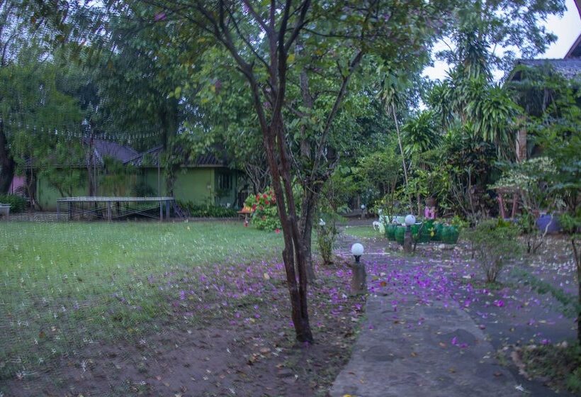 هتل The Cliff View Resort Baan Pha Nam