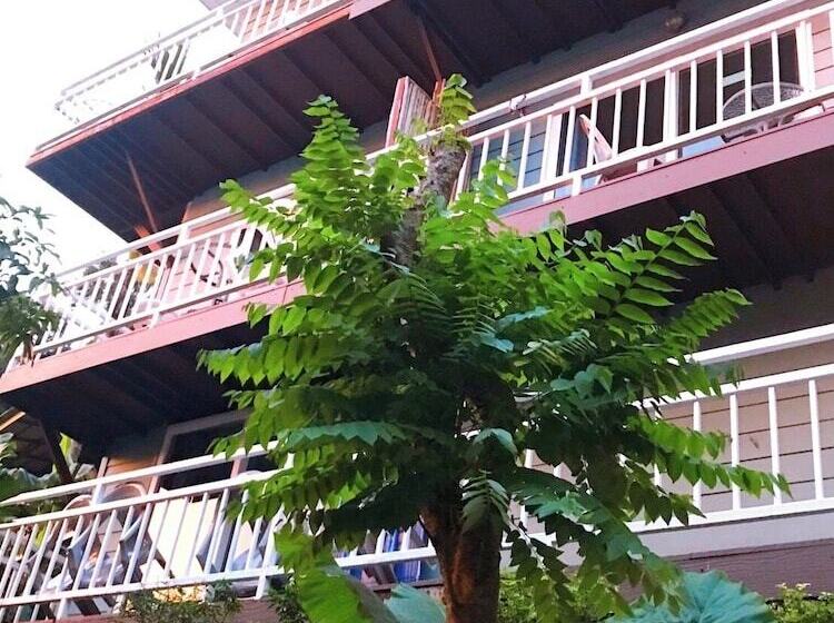 پانسیون Blue View House Phi Phi