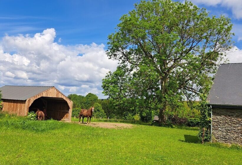 膳宿费 Gîte L Olivier à Filly   Nadrin, Entre Houffalize Et La Roche En Ardenne