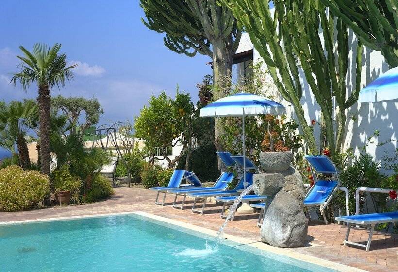 Room In B&b   Ischia Forio, Under The Sign Of Relaxation And Well Being N5480