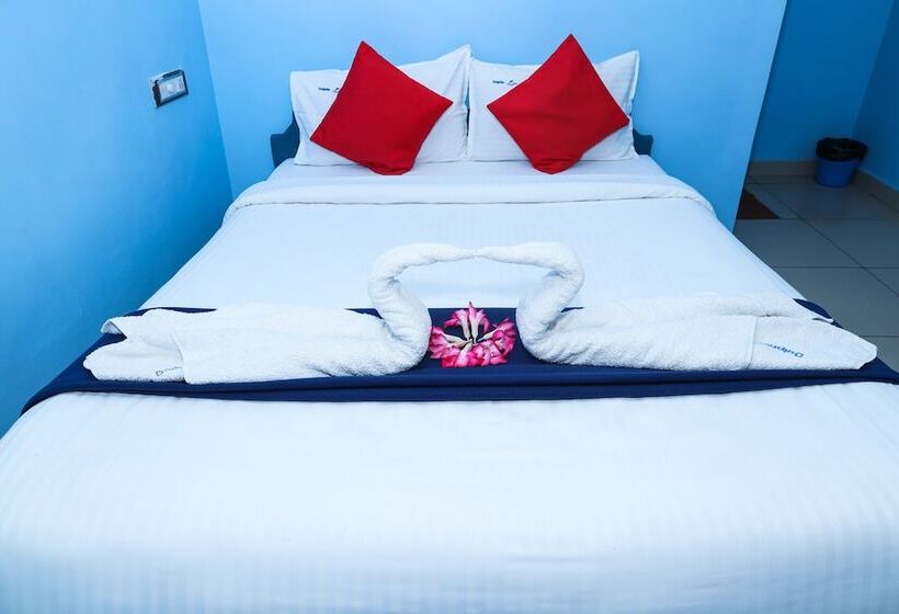 فندق Dolphin Beach Guest House