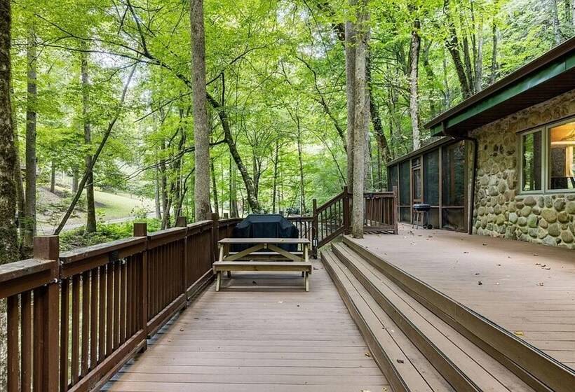 Mountain View Bliss   Cozy 1br Cabin