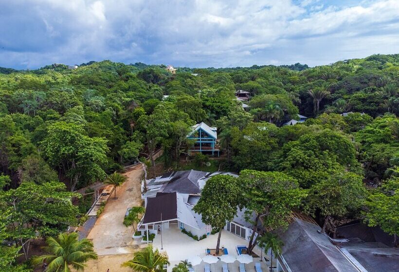 هتل Luna Beach Luxury Boutique Beach Front Resort