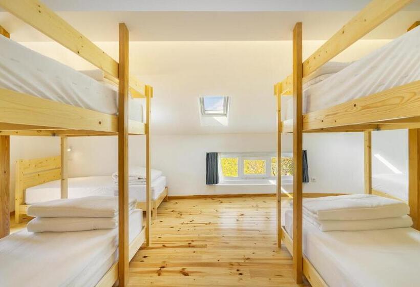 فندق صغير Forest Villas   Guest House