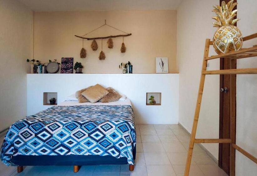 هاستل Hostal Cuca Macuca