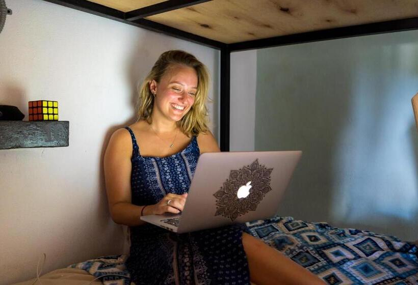 هاستل Hostal Cuca Macuca