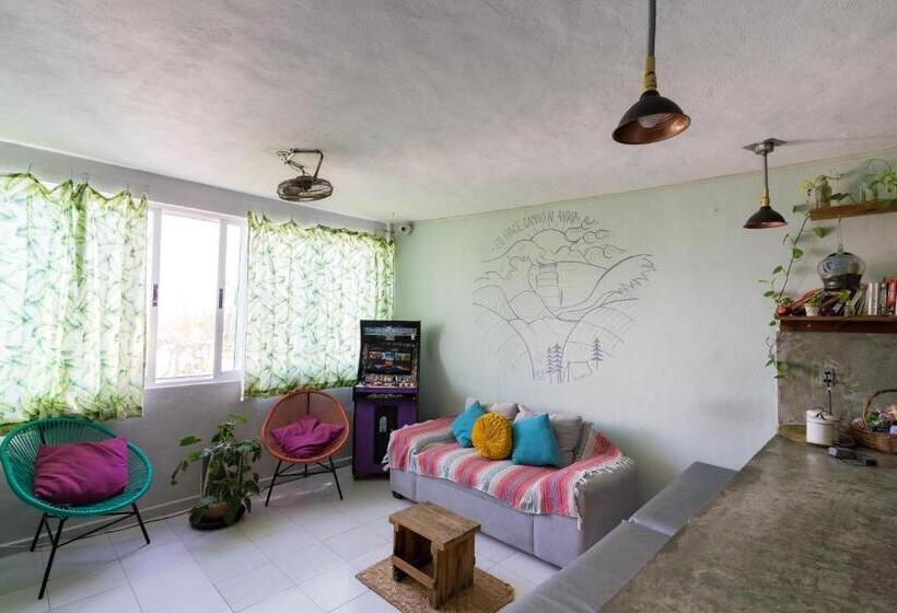 هاستل Hostal Cuca Macuca