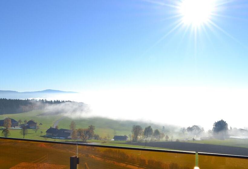 ホテル Aviva   Für Singles & Alleinreisende