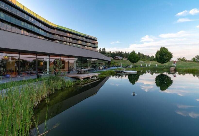 ホテル Aviva   Für Singles & Alleinreisende