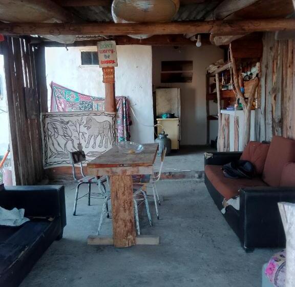 هاستل Vida Playera