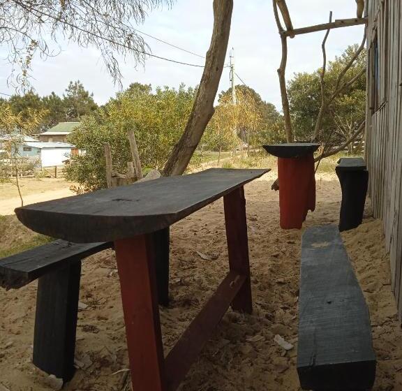 هاستل Vida Playera