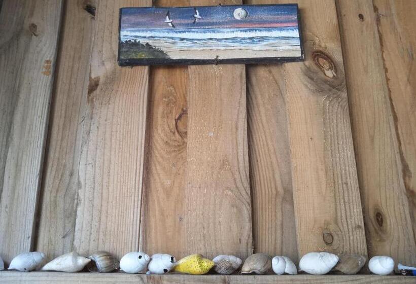 هاستل Vida Playera