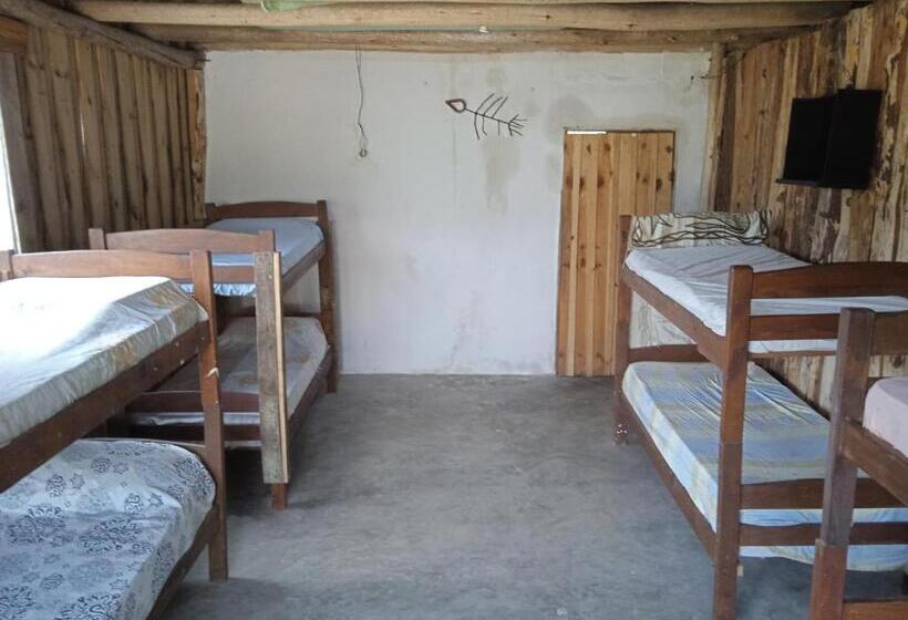 هاستل Vida Playera