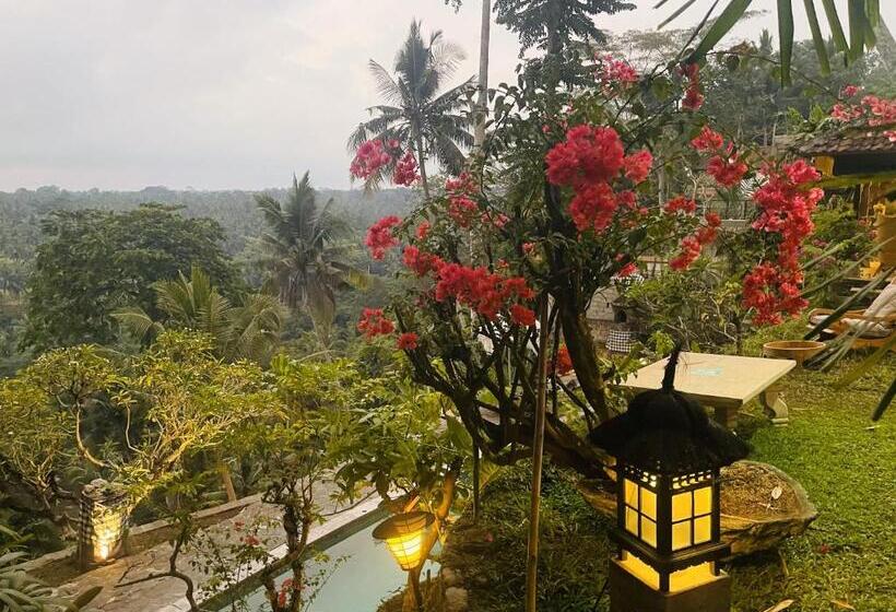 تختخواب و صبحانه Bali Maison