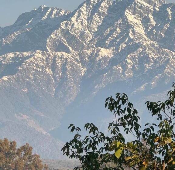 مبيت وإفطار Terra Cottage